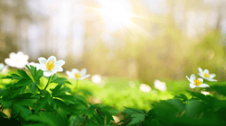 2020 Spring Newsletter