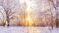 2019 Winter Newsletter